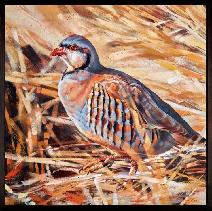 Wheat Field Partridge (Framed)