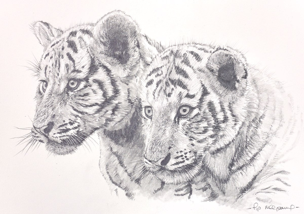 Two White Tiger Cubs