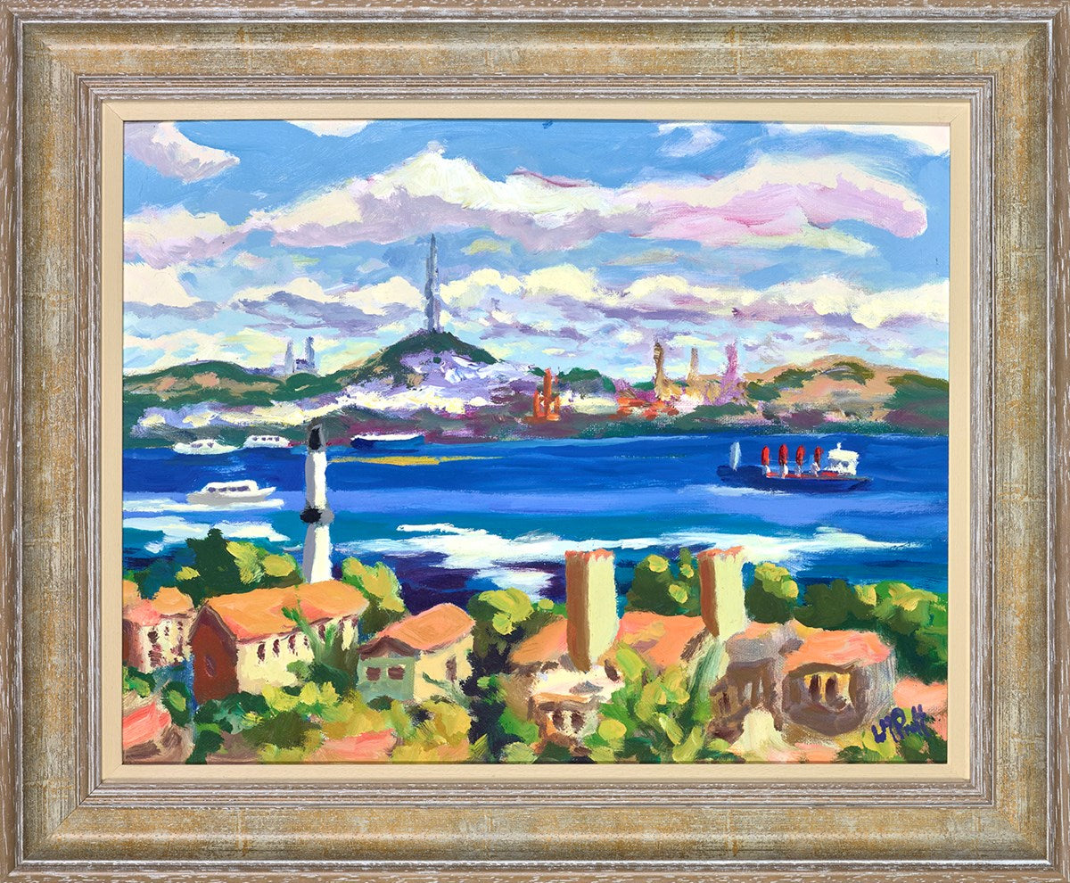 Bosphorus View