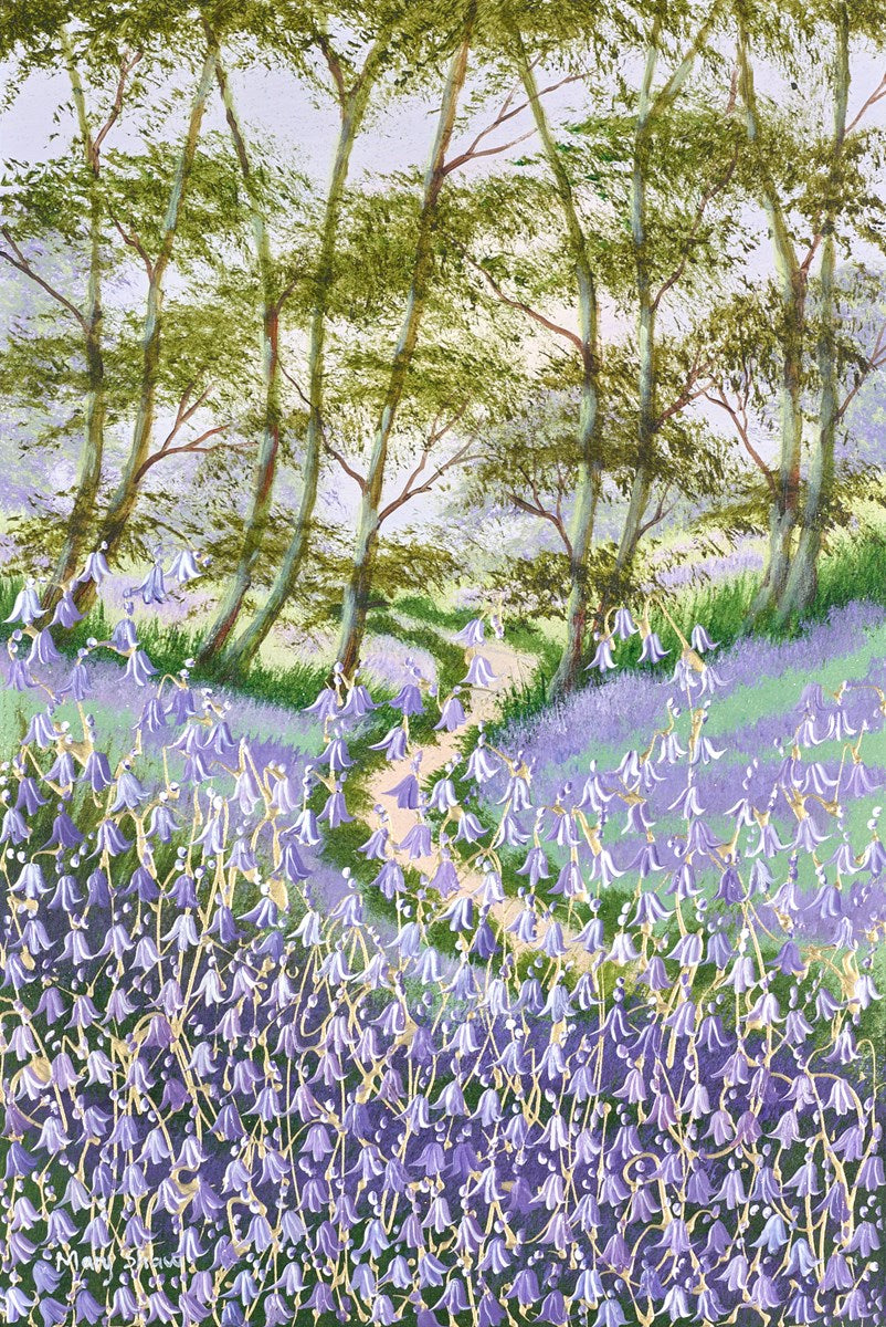 Bluebells and Woodland III