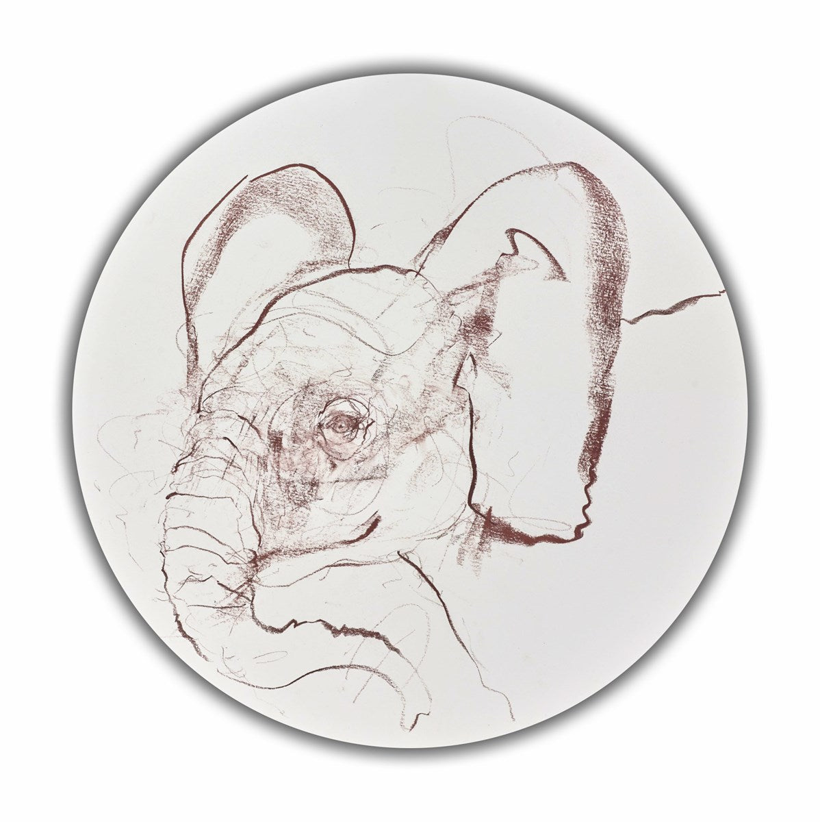 Young Elephant Sketch XVI