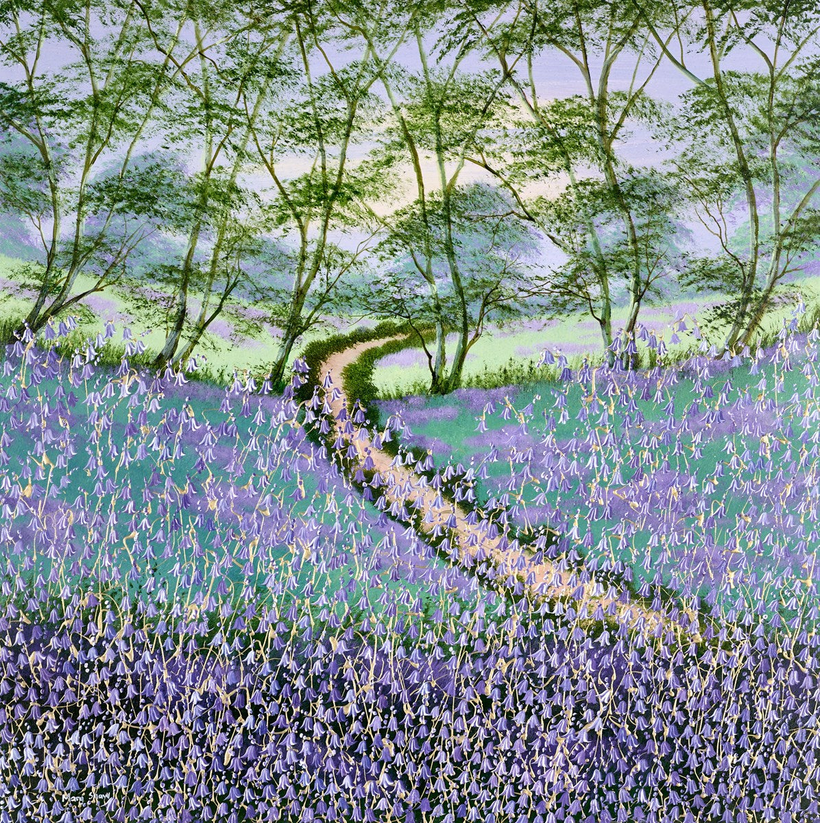 Forest Walkway