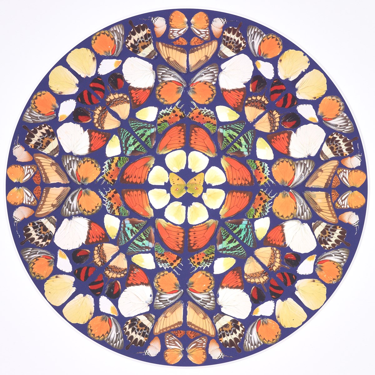 Third Prototype For Psalm