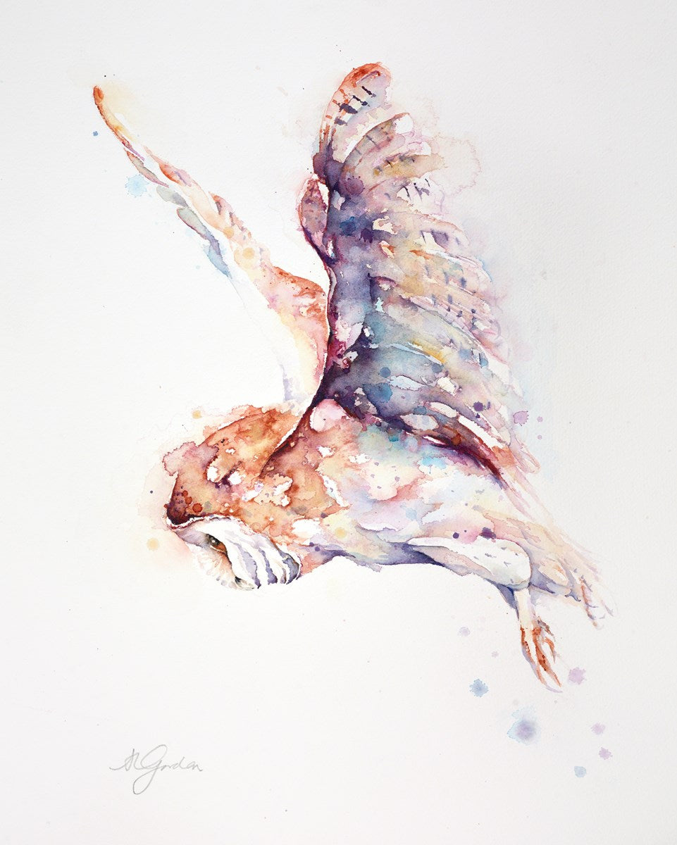 Quiet Hunter - Barn Owl