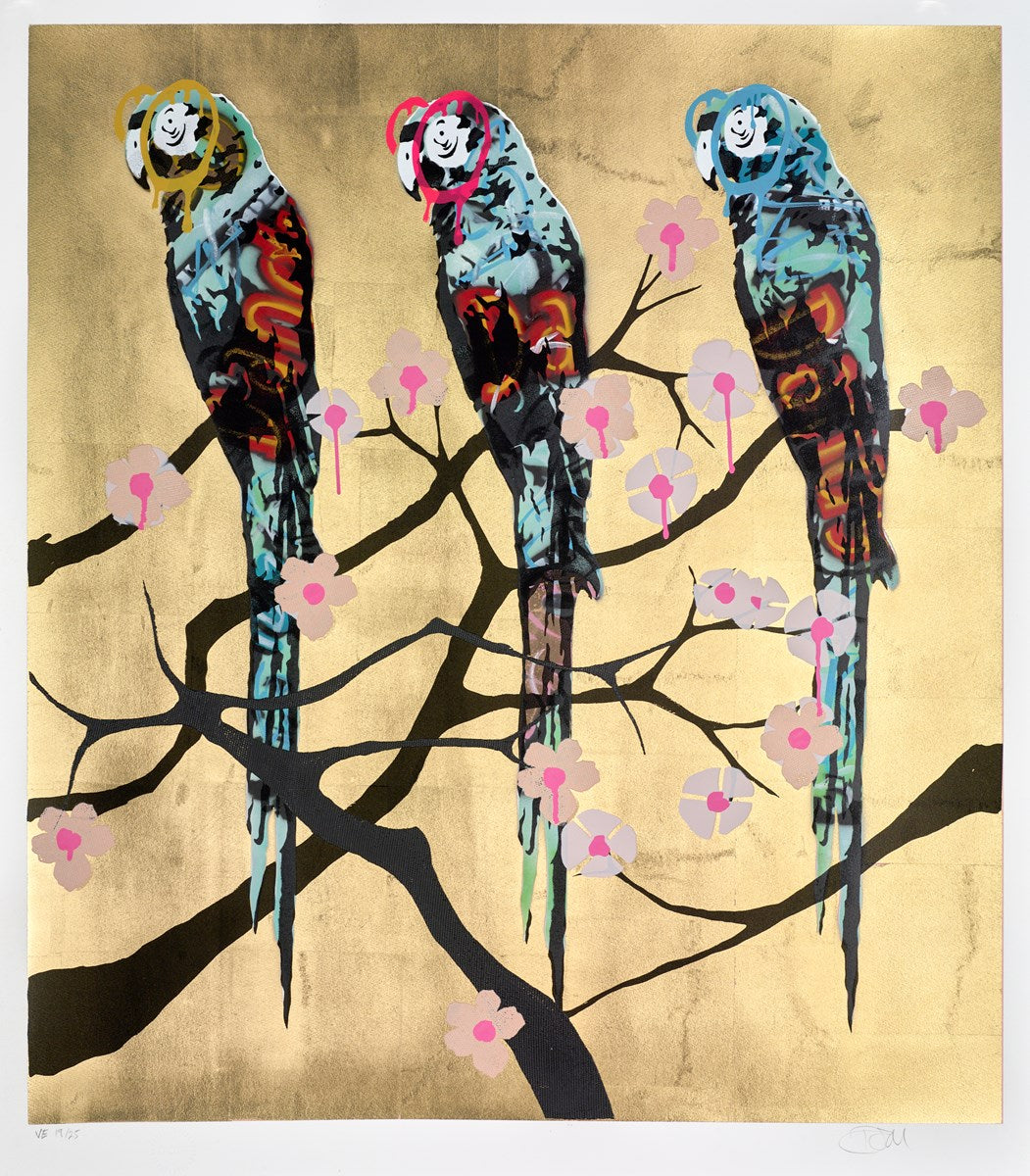 Polly Folly 19/25