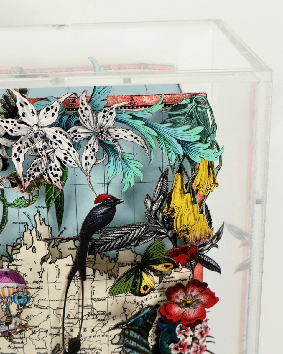 Navigators Floating Map - Giraffe Discoveries of the world (Detail2)