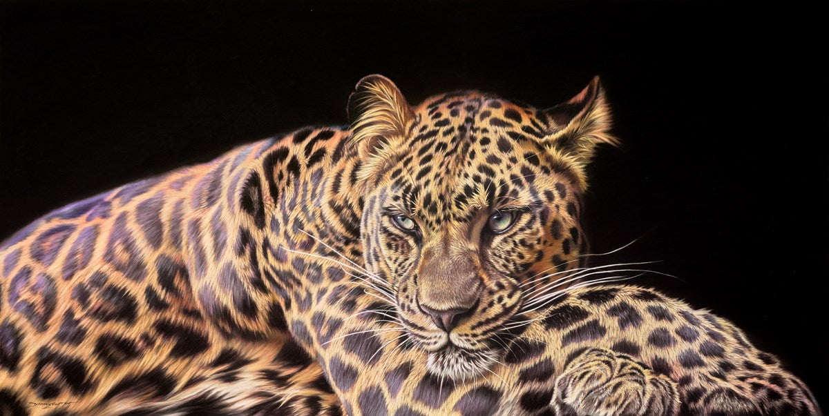 Relaxing Leopard