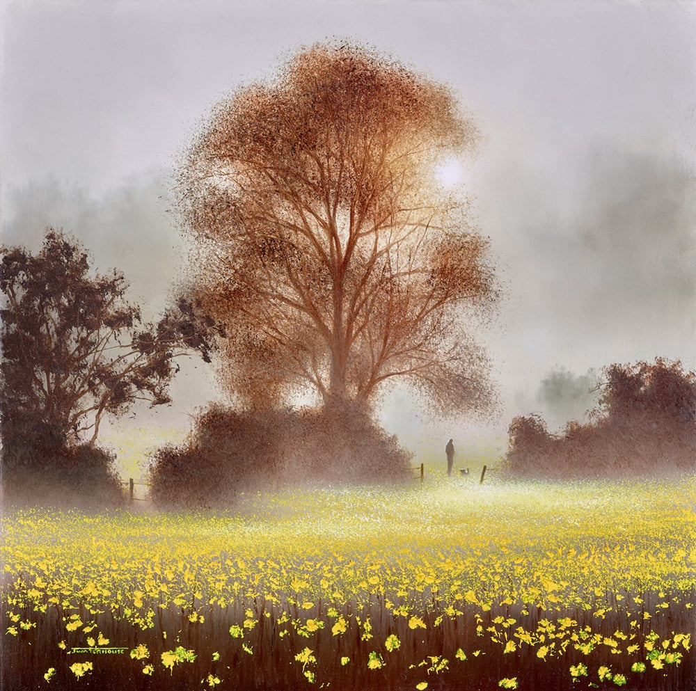 Buttercup Meadow