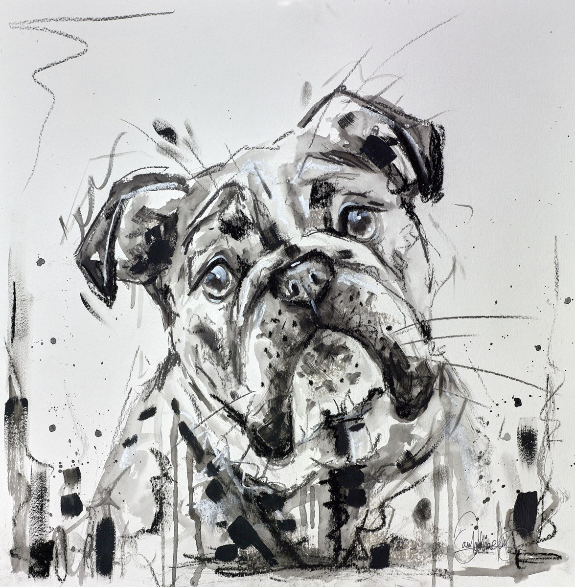 British Bulldog