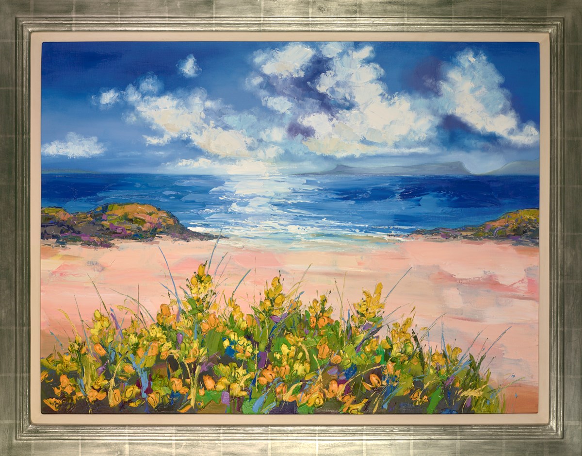 Gorse In Evening Light Near Arisaig