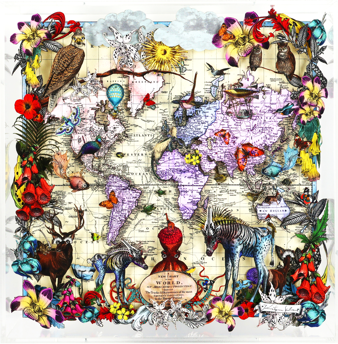 Navigators Floating Map - Zebra Discoveries of the world (Framed)
