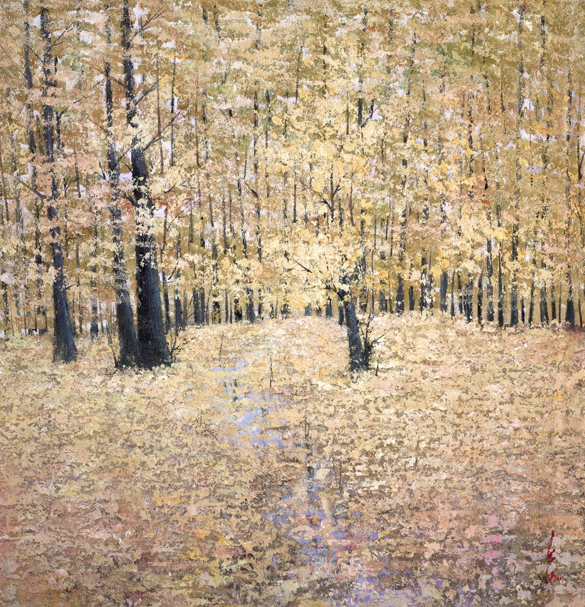 Tales from the Forest Floor
