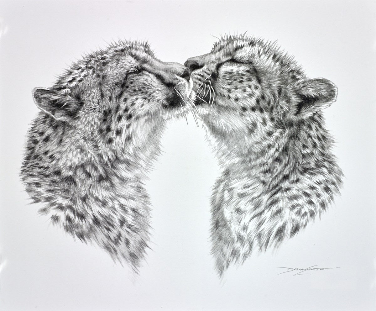 Cheetah Caress