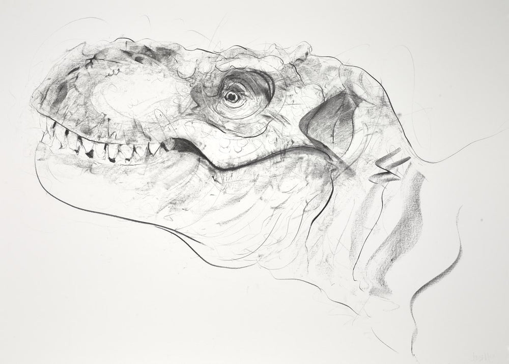 T Rex X