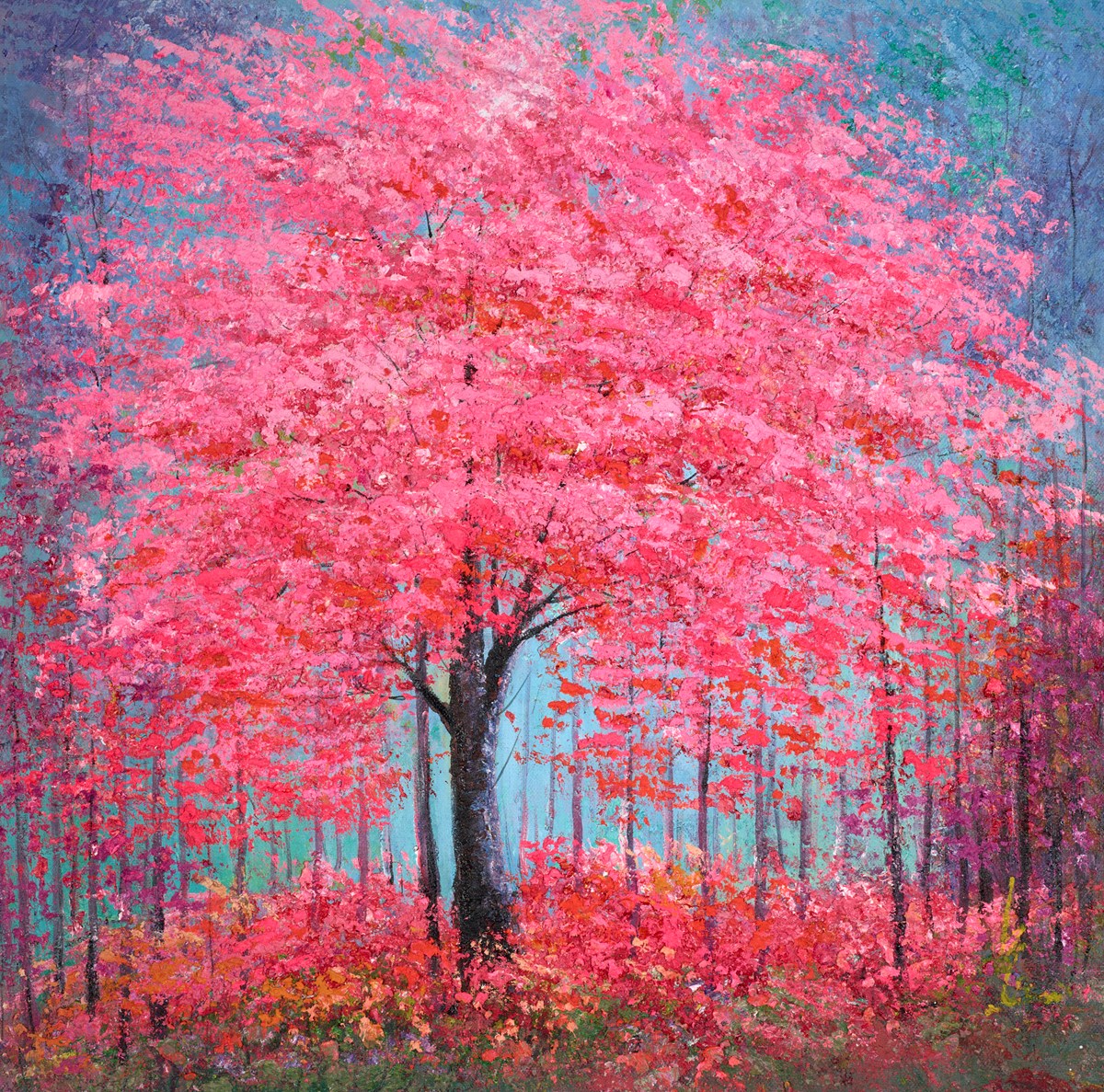 Woodland Wonder
