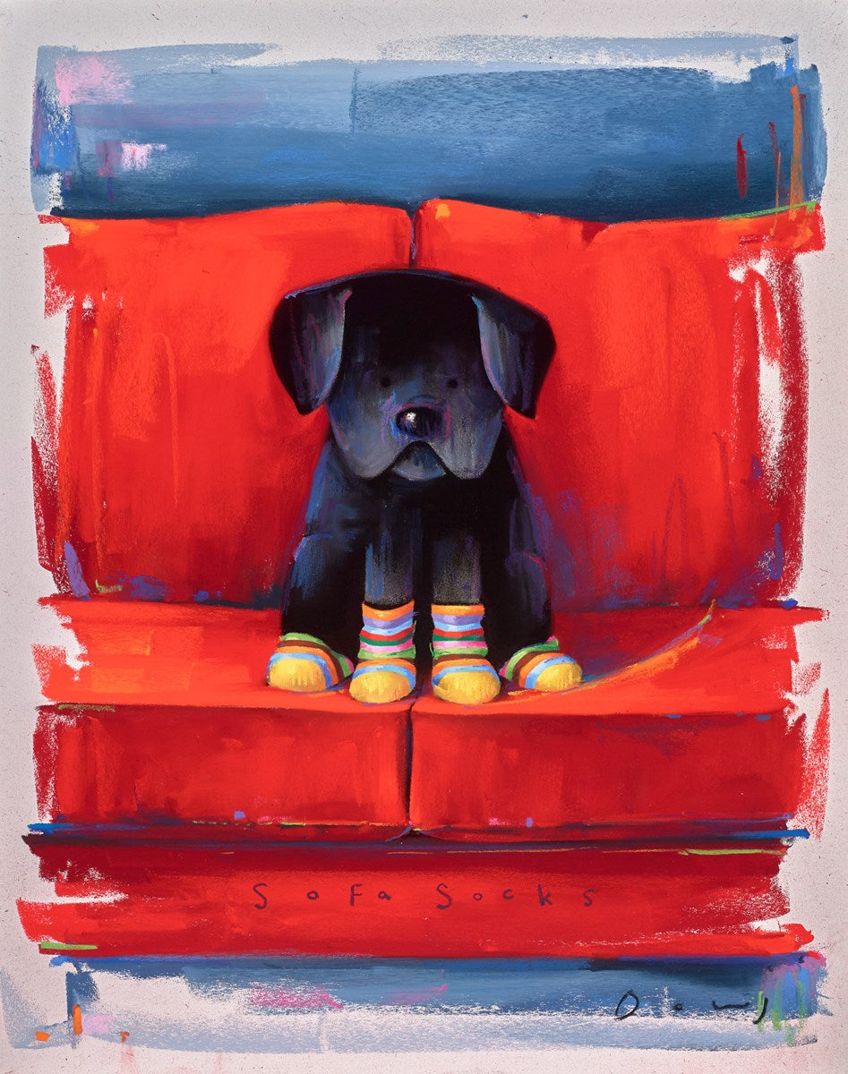 Sofa Socks