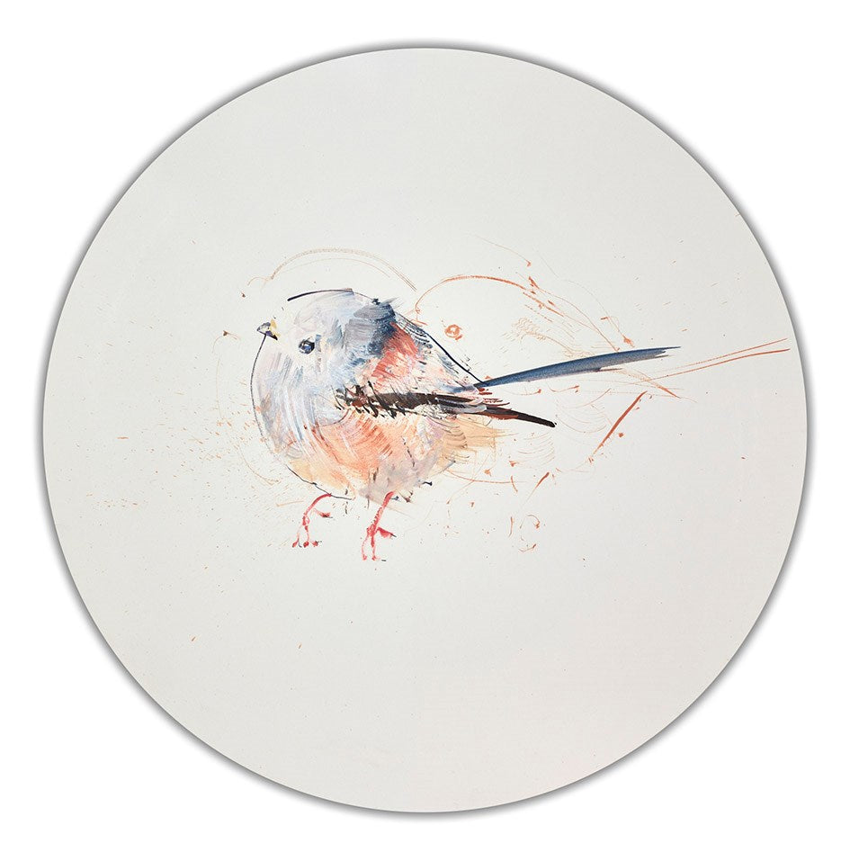 Long Tailed Tit Study IV