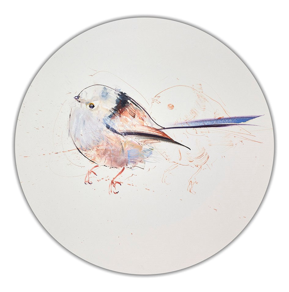 Long Tailed Tit II