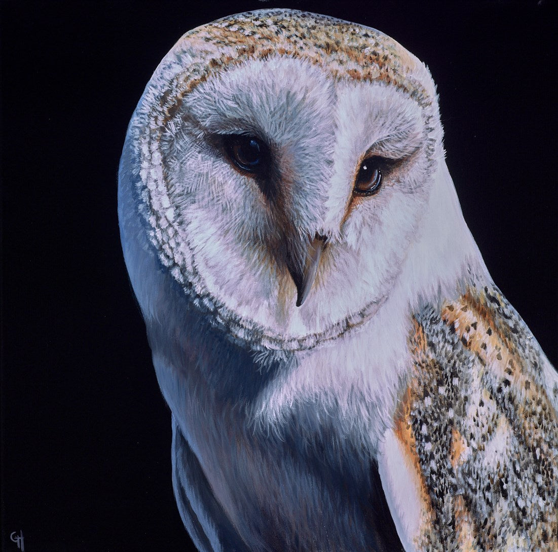 Barn Owl I