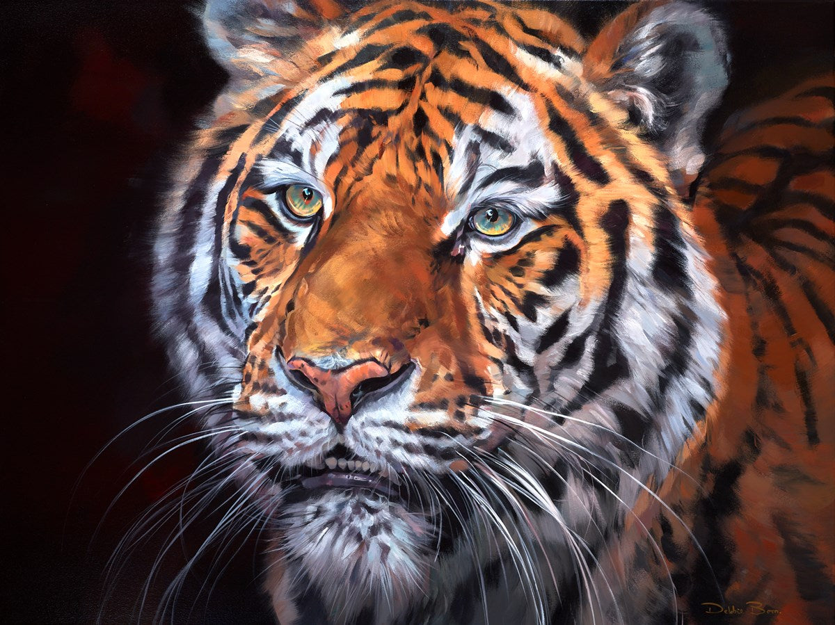Sumatran Tiger- Rare Beauty