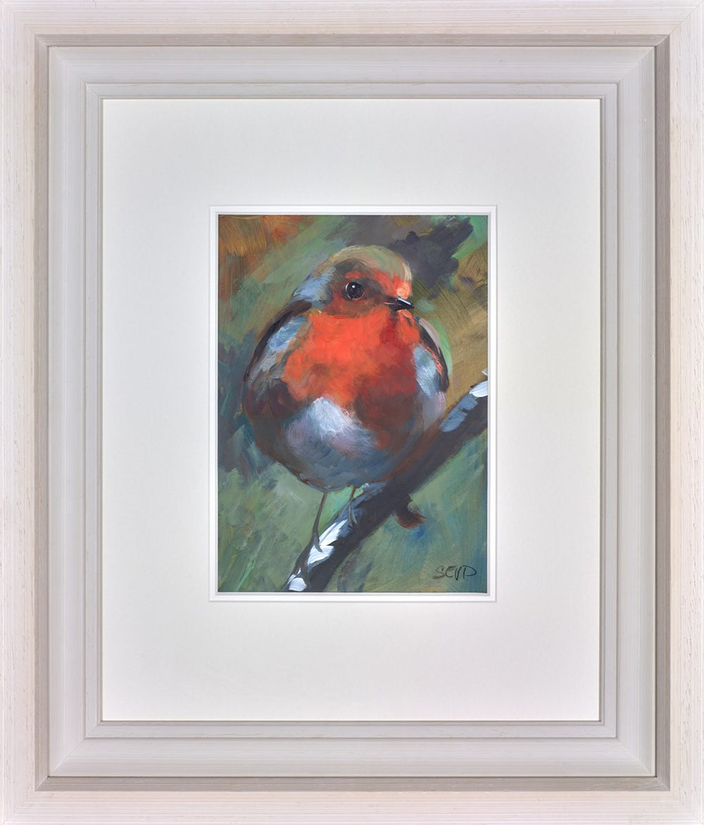 Robin Red Breast