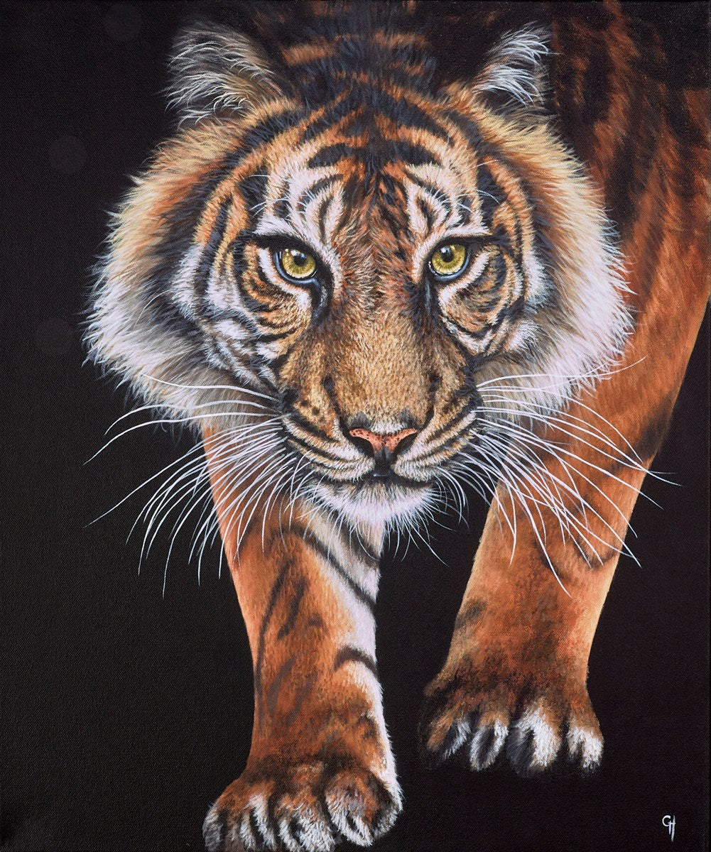 Tiger