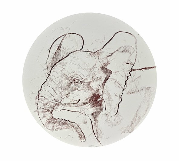 Young Elephant Sketch XV