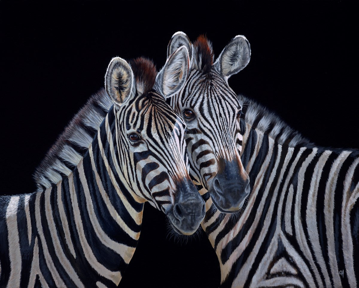 Zebra II