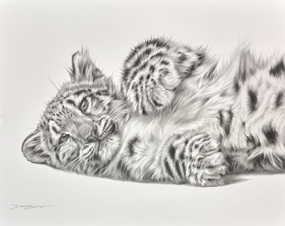 Lazy Afternoon