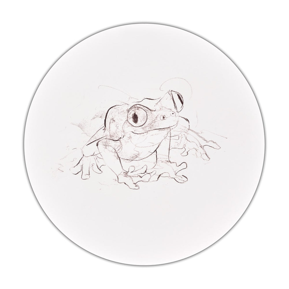 Tree Frog Study V