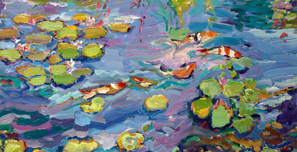 Jeffrey's Koi Carp