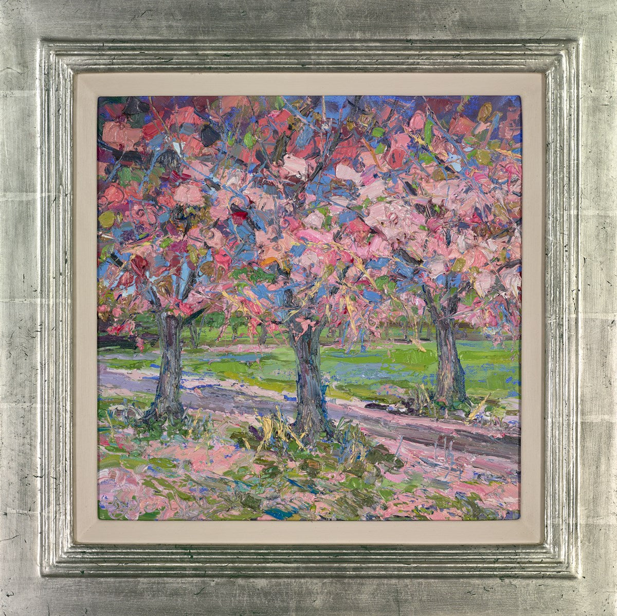 Fallen Cherry Blossom