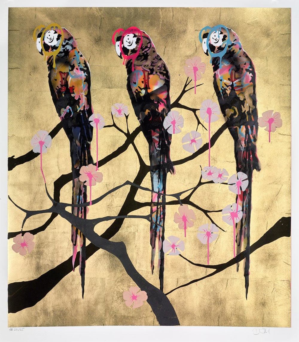 Polly Folly 22/25