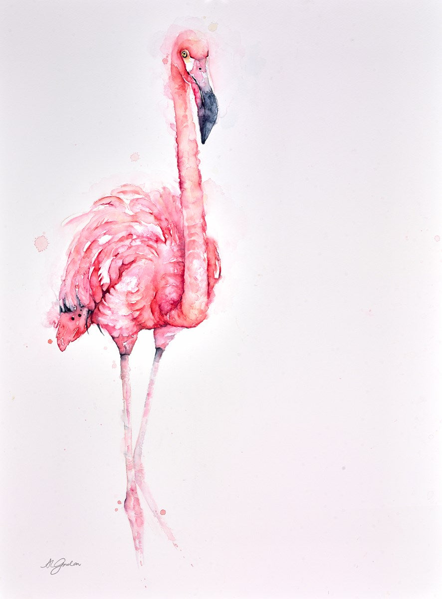 Flamingo Solo