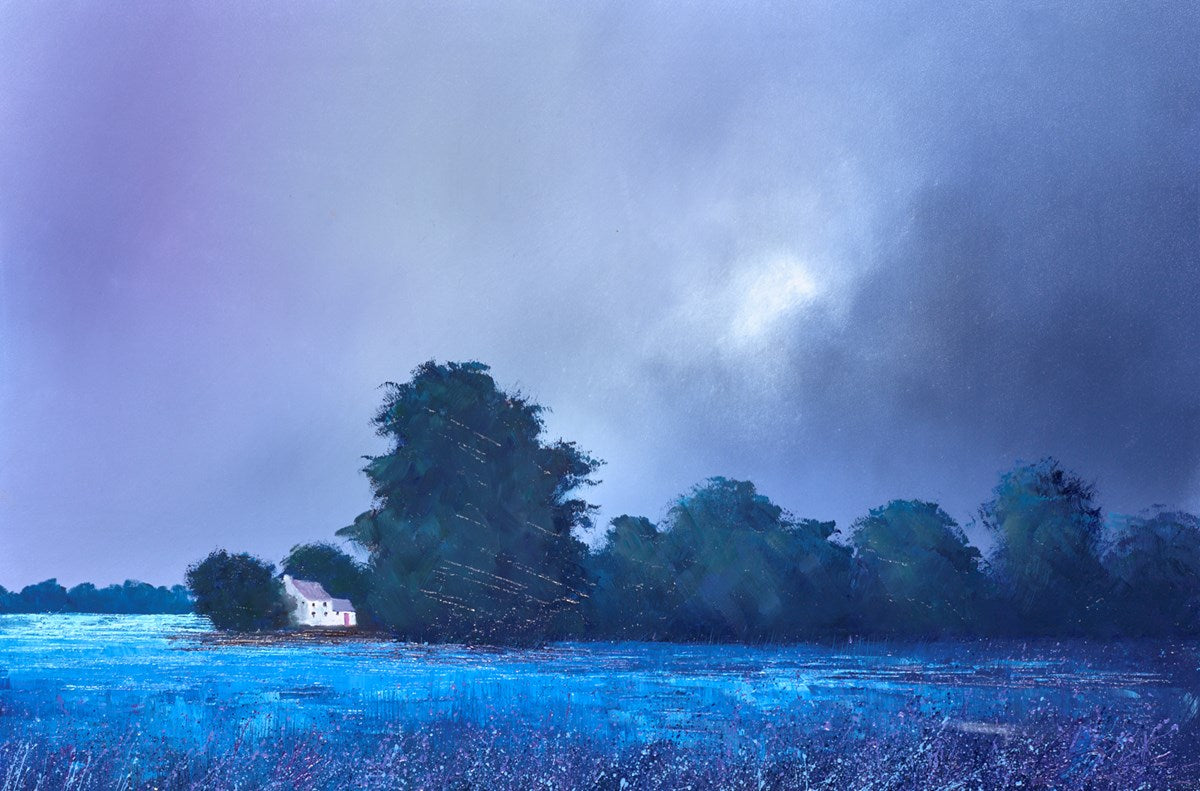 A Solitary Haven