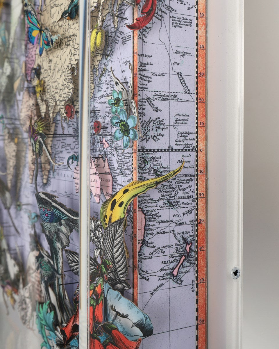 Navigators Floating Map - Ostrich Discoveries of the world (Detail2)