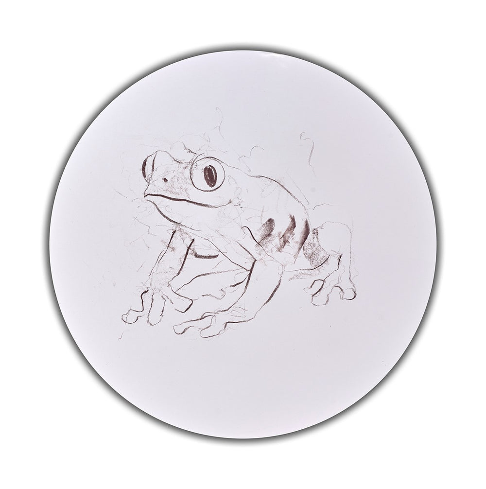 Tree Frog Study IV