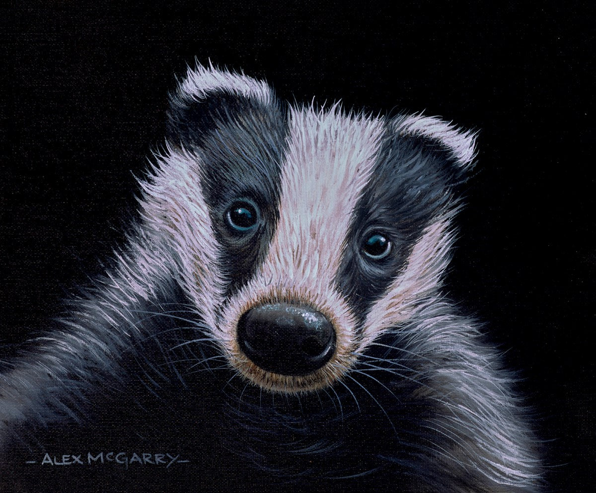 Badger IV