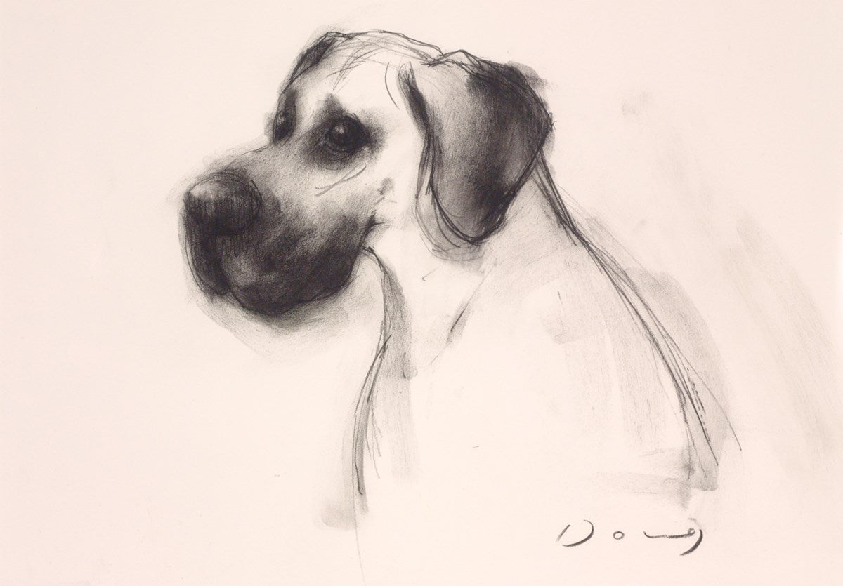 The Great Dane