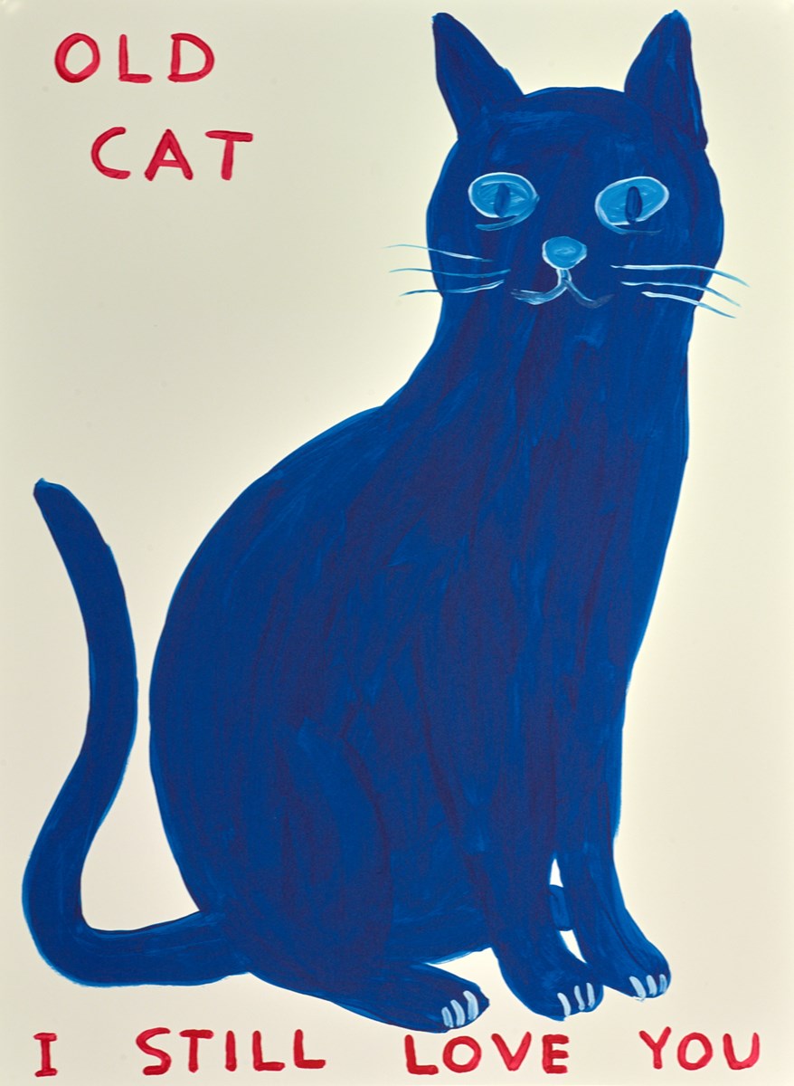 Old Cat