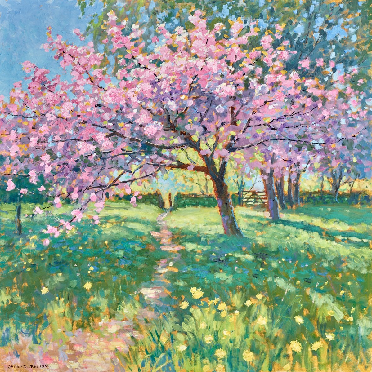 Cherry Blossom