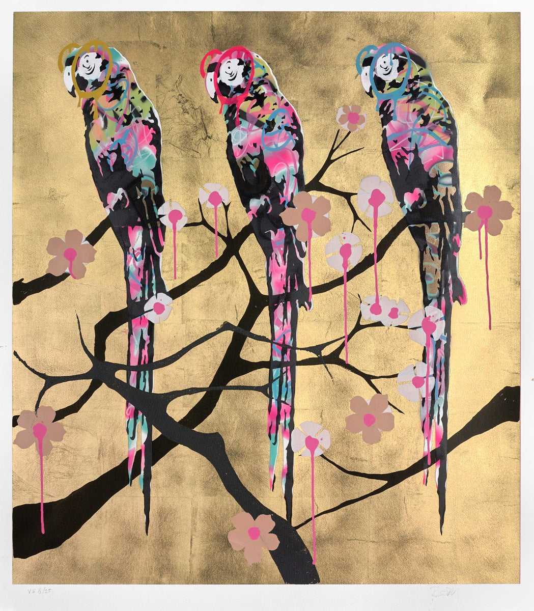 Polly Folly 6/25