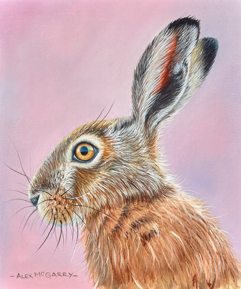 Hare VI