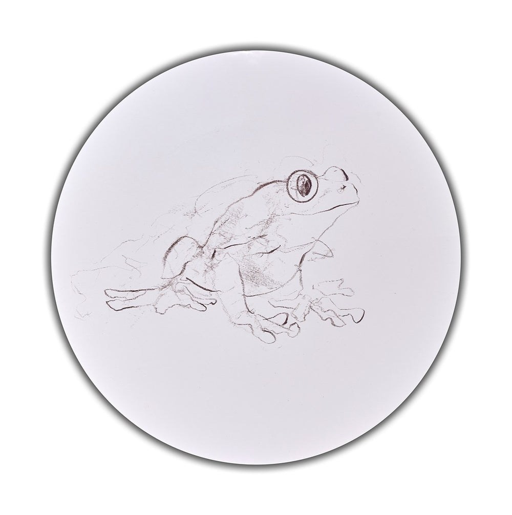 Tree Frog Study III