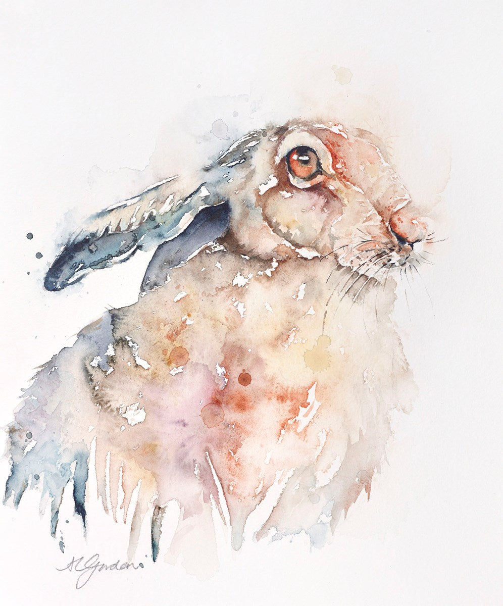 Meadow Hare