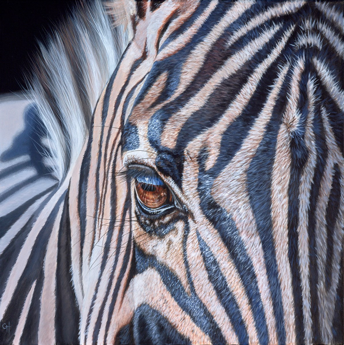Zebra III