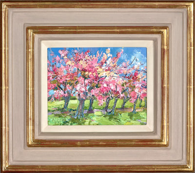 Bright Sun on Cherry Blossoms,The Meadows , Edinburgh