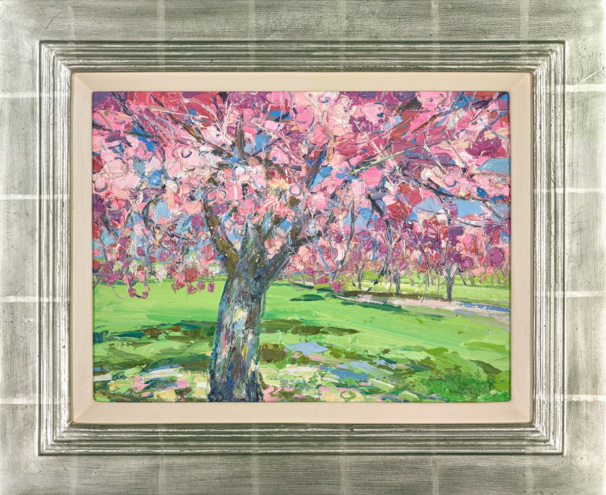 Cherry Tree , The Meadows