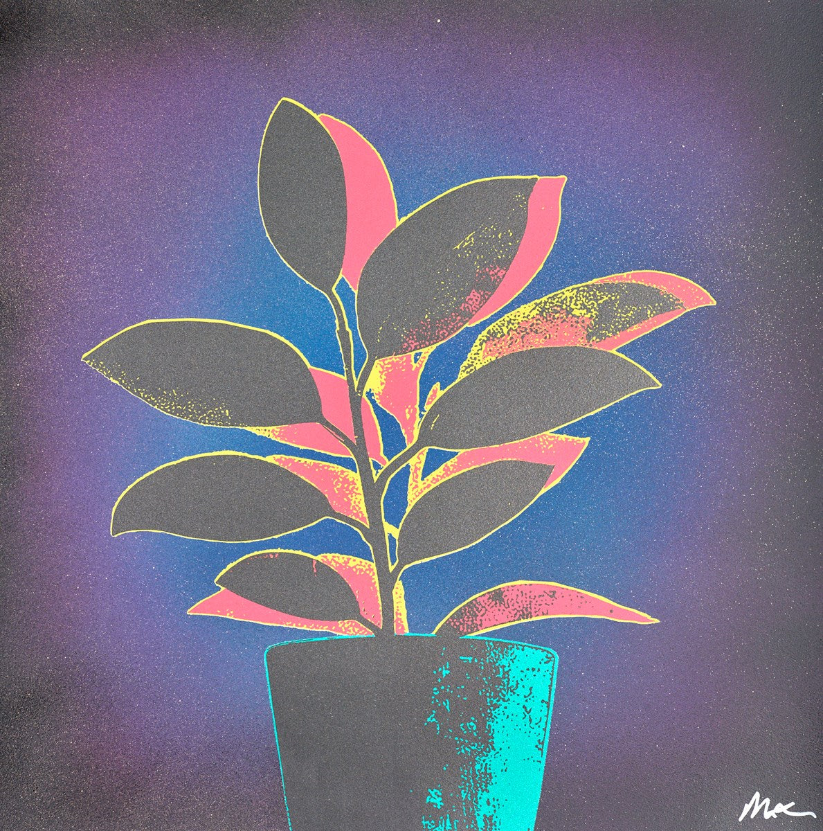 Rubber Plant - Green/Blue