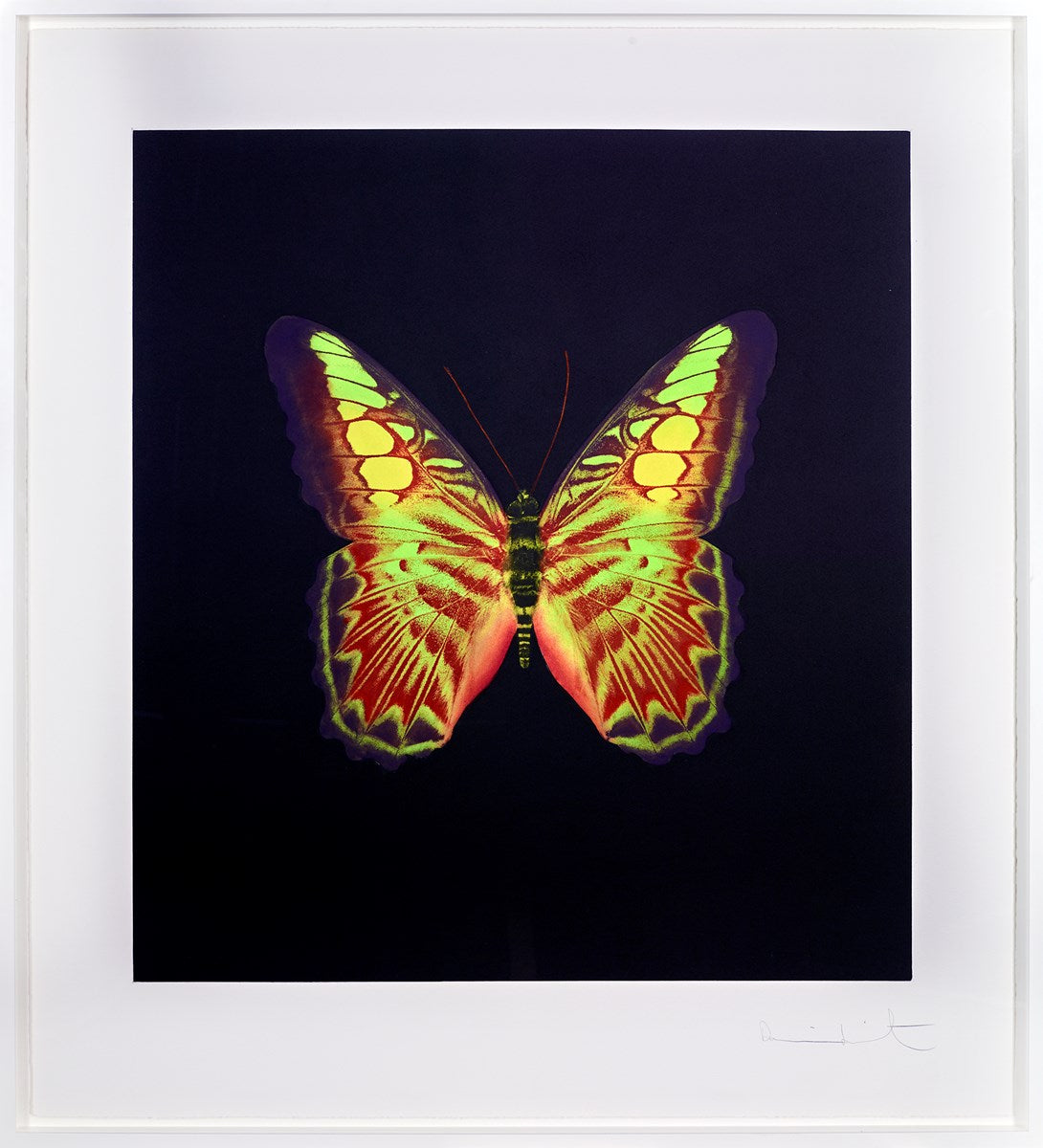 Plate 2, from: The Souls on Jacob's Ladder Take Their Flight